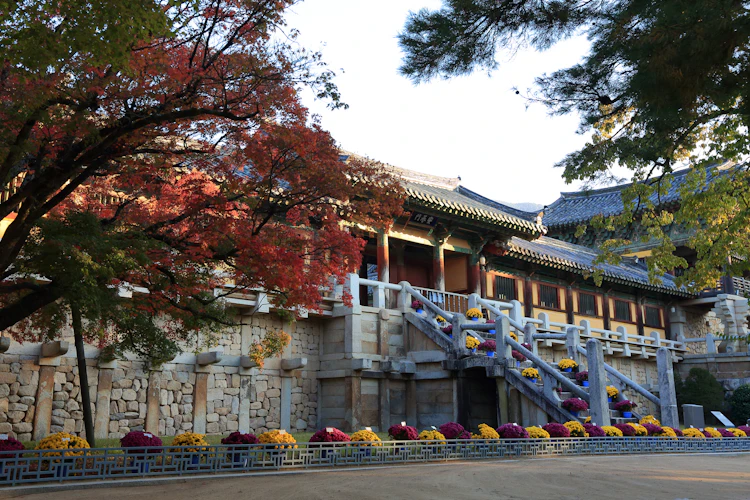 Det historiske Bulguksa Tempel omgivet af flammende røde og orange efterårsblade i Gyeongju, Sydkorea, hvor traditionel buddhistisk arkitektur møder naturens farvespil i dette UNESCO verdensarvssted