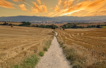 Gylden solopgang over Camino de Santiago pilgrimsruten i Navarra, Spanien, med en grussti der skærer gennem høstede marker mod fjerne bjerge