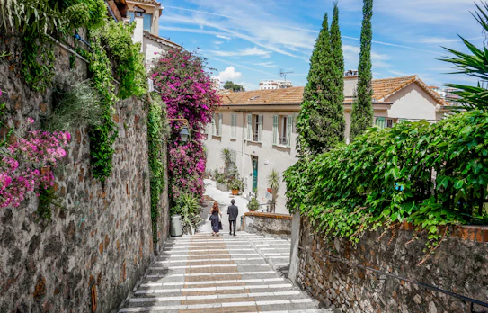 Smuk brolagt trappe i Cannes gamle bydel Le Suquet med farverige bougainvillea blomster og grønne planter langs stenmurede vægge