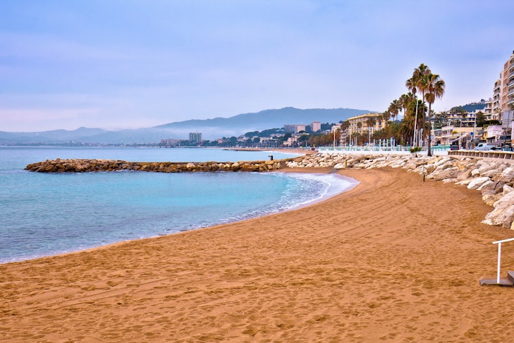 Panoramaudsigt over Cannes' sandstrand med palmer langs vandkanten, populær feriedestination på den franske riviera