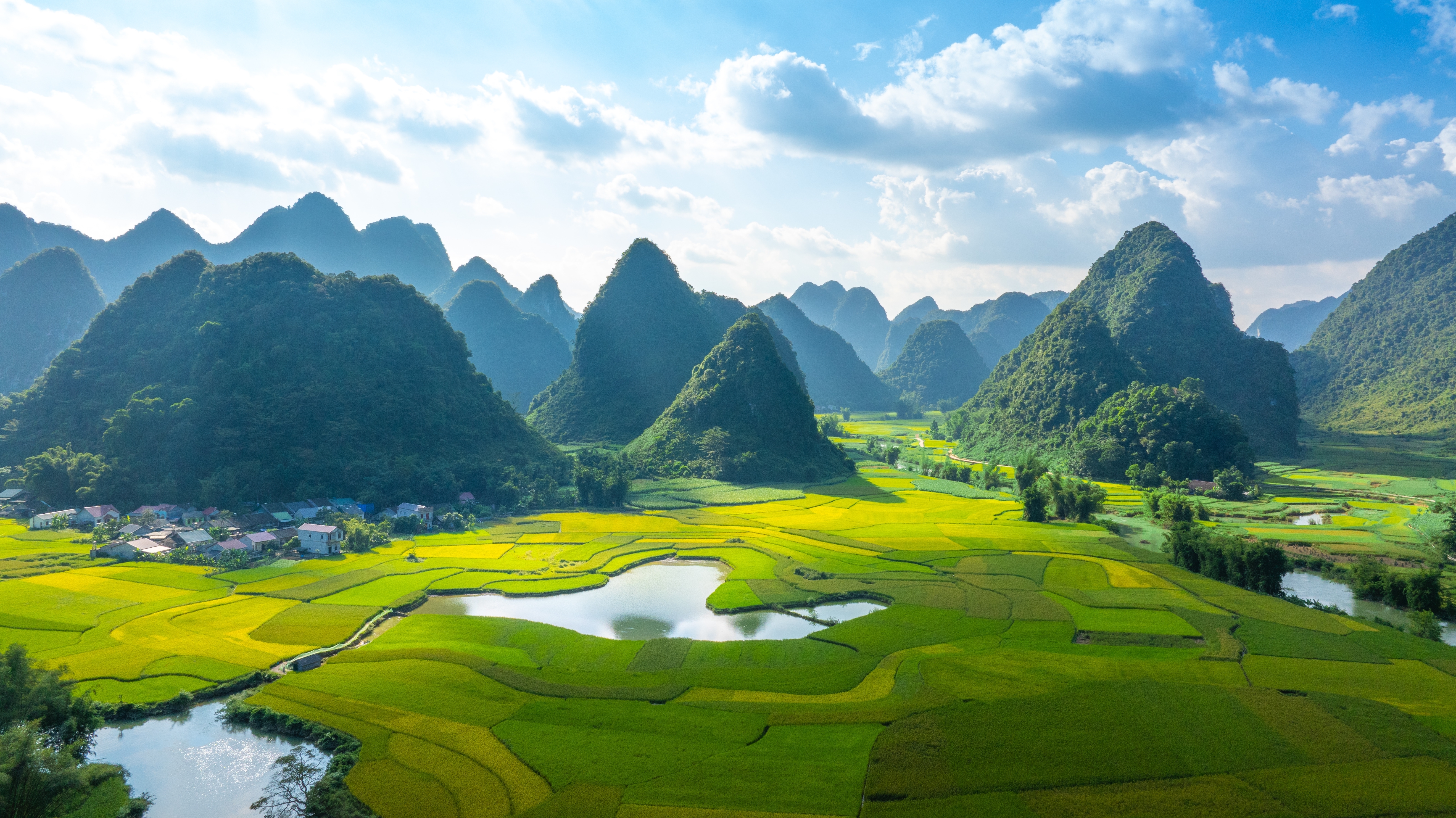 Luftfoto af gyldne rismarker og grønne karstbjerge ved Cao Bang i det nordlige Vietnam