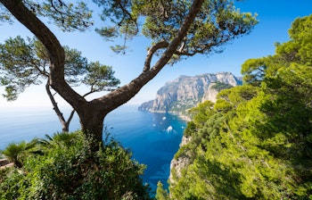 Betagende udsigt gennem middelhavsgraner til Capris ikoniske klippeformationer med azurblåt hav og klar himmel nær Napoli, Italien