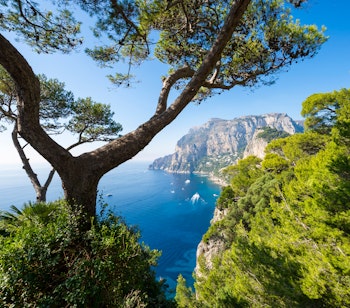 Betagende udsigt gennem middelhavsgraner til Capris ikoniske klippeformationer med azurblåt hav og klar himmel nær Napoli, Italien