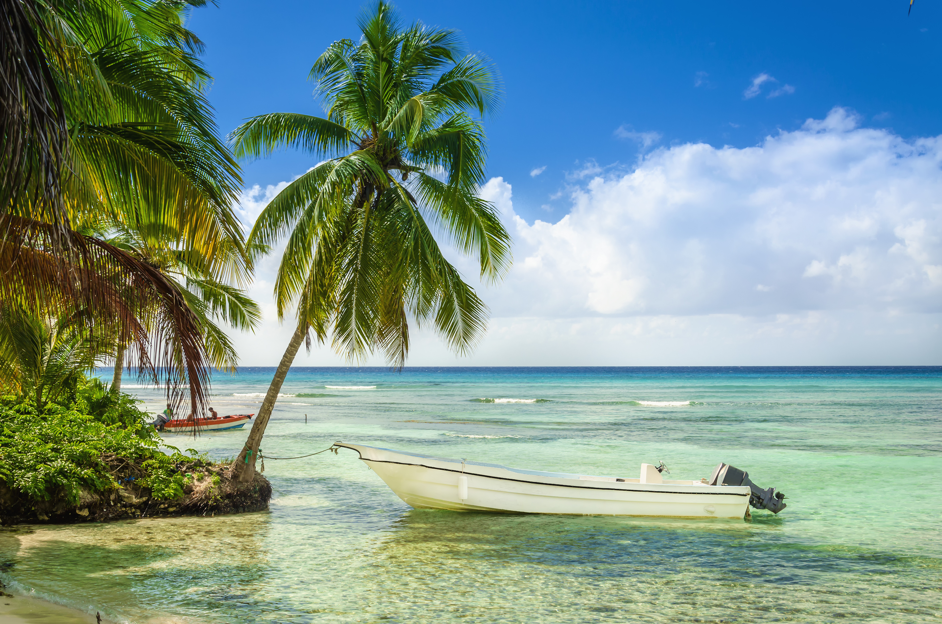 Tropisk caribisk strand med fiskerbåd og palmer i tyrkisblåt vand