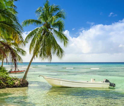 Tropisk caribisk strand med fiskerbåd og palmer i tyrkisblåt vand