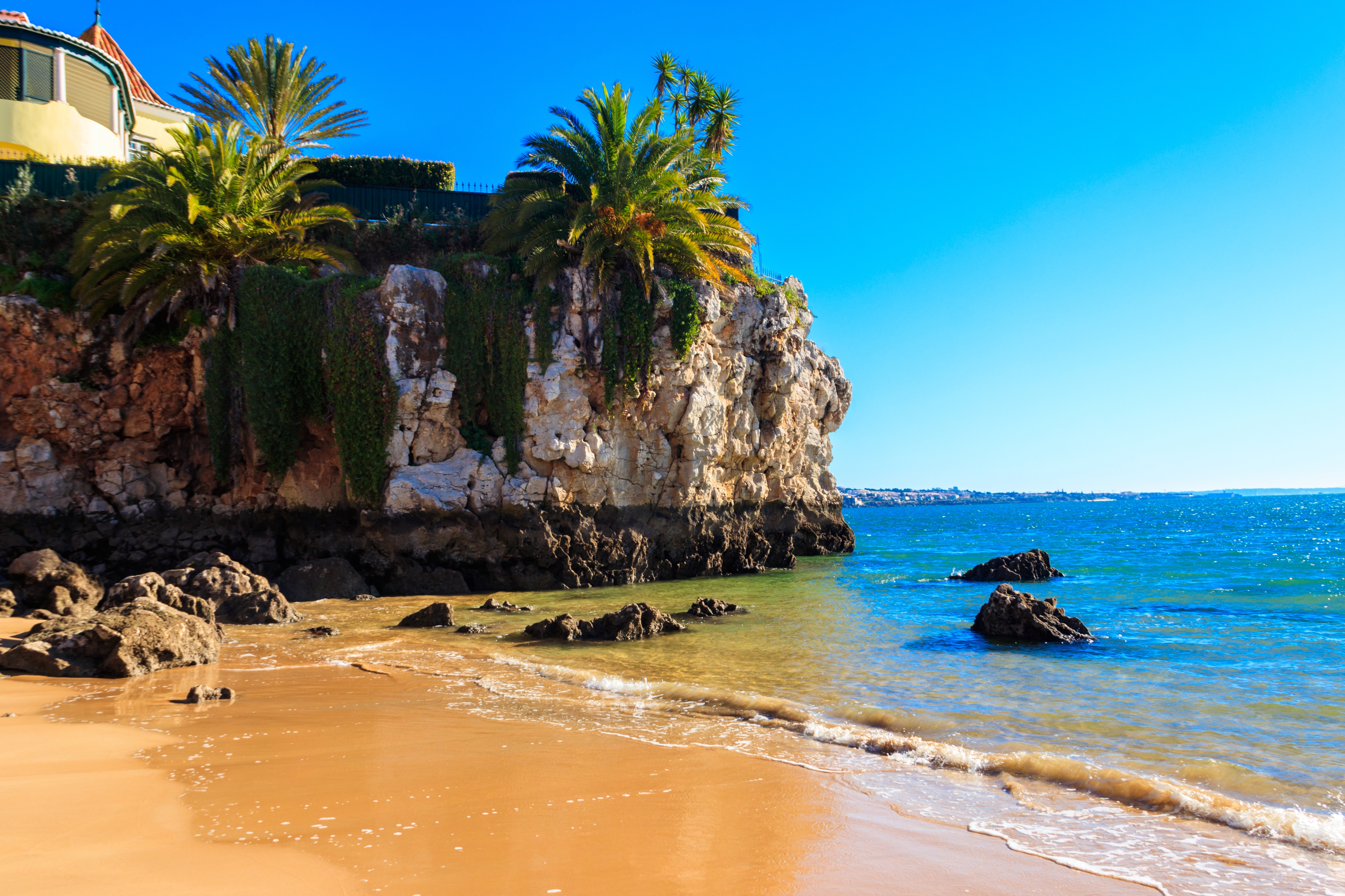 Smuk sandstrand med palmer og klippekyst i Cascais Portugal ved Atlanterhavet