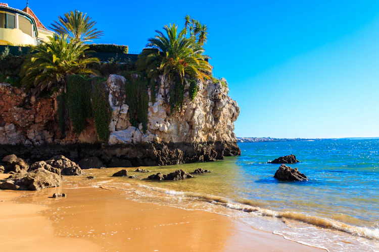 Smuk sandstrand med palmer og klippekyst i Cascais Portugal ved Atlanterhavet