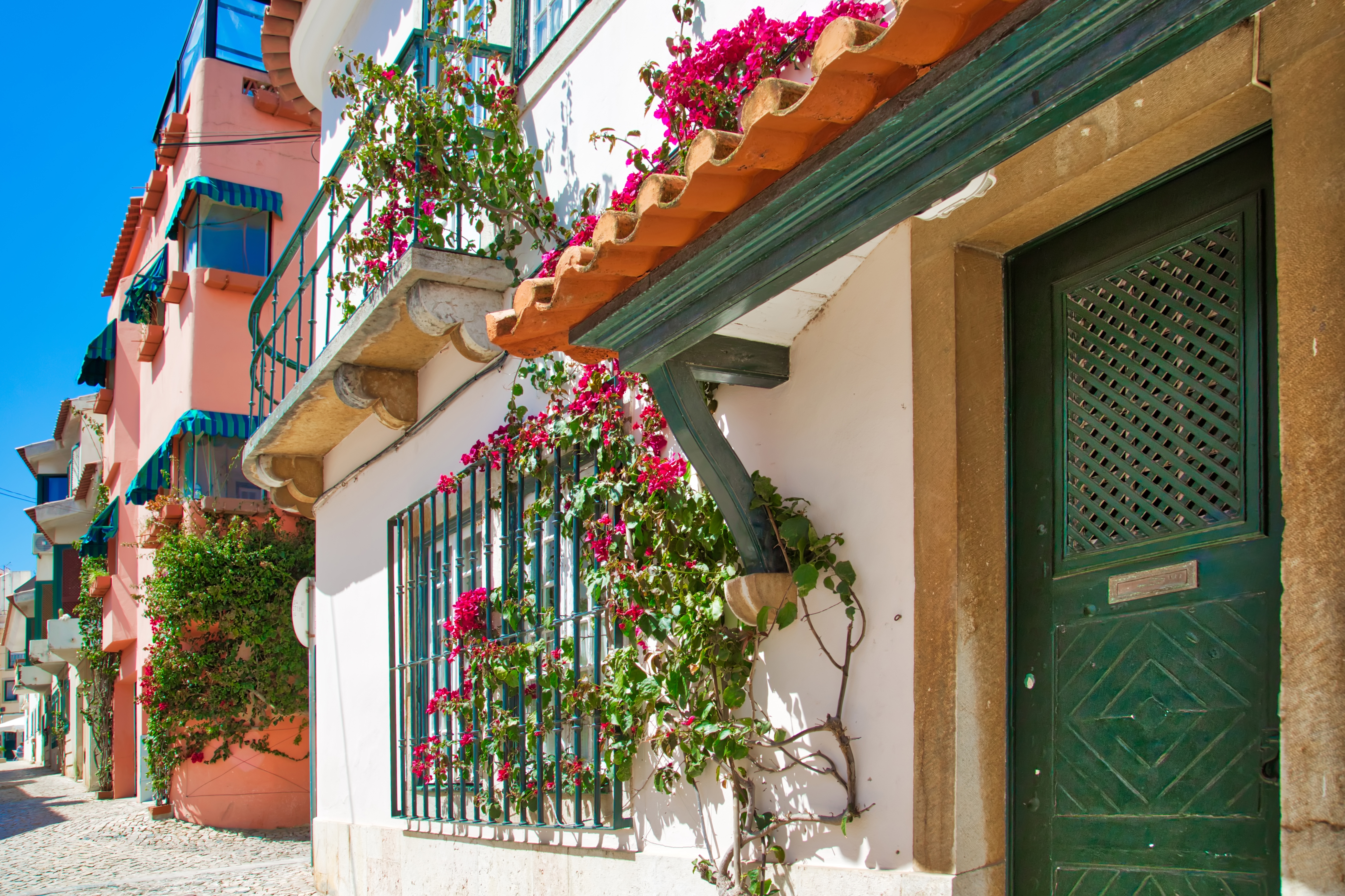 Malerisk smal gade med traditionelle huse og pink bougainvillea i det historiske centrum af Cascais, Portugal