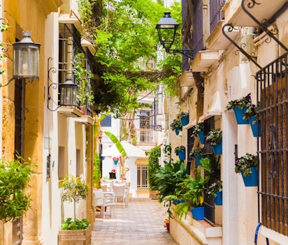 Idyllisk smal gade i Marbellas gamle bydel med hvidkalkede facader og farverige blomsterkrukker i Malaga-provinsen, Spanien
