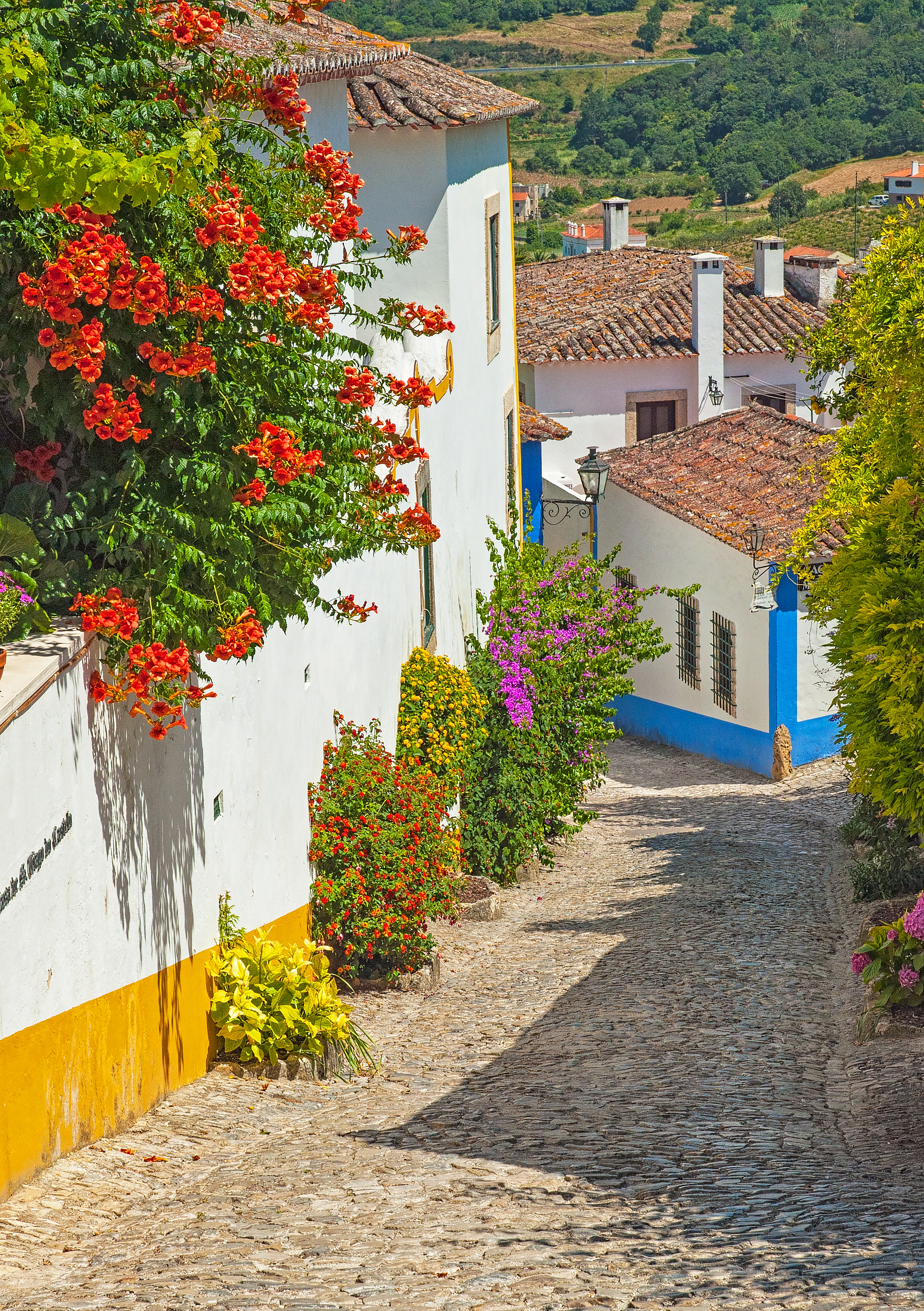 Farverig historisk gade i Obidos Portugal med traditionel arkitektur, blomstrende planter og charmerende bygninger i den gamle bymidte