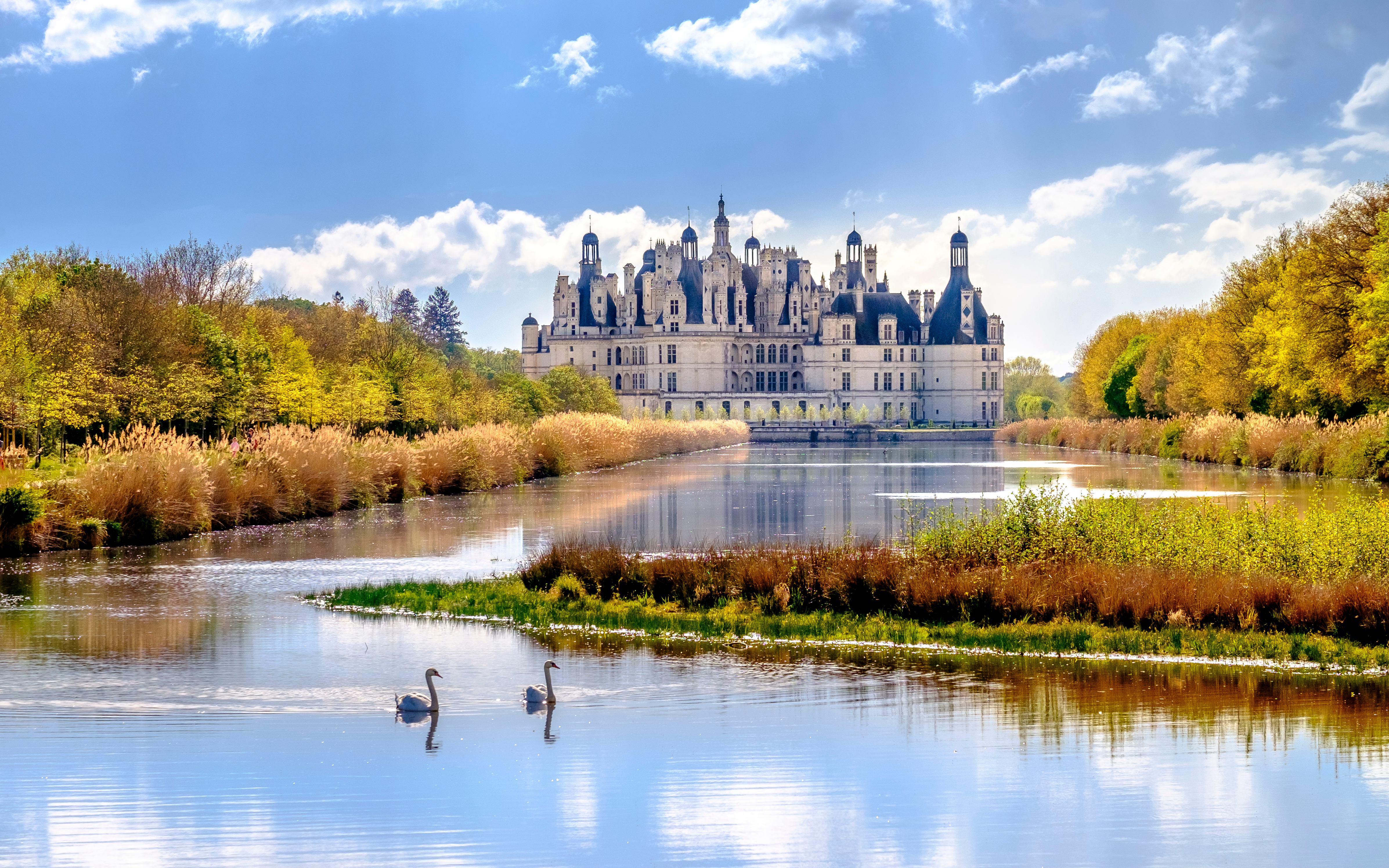 Det historiske Château de Chambord spejler sig i vandet med svaner i forgrunden, omgivet af gyldne træer i Loire-dalen, Frankrig