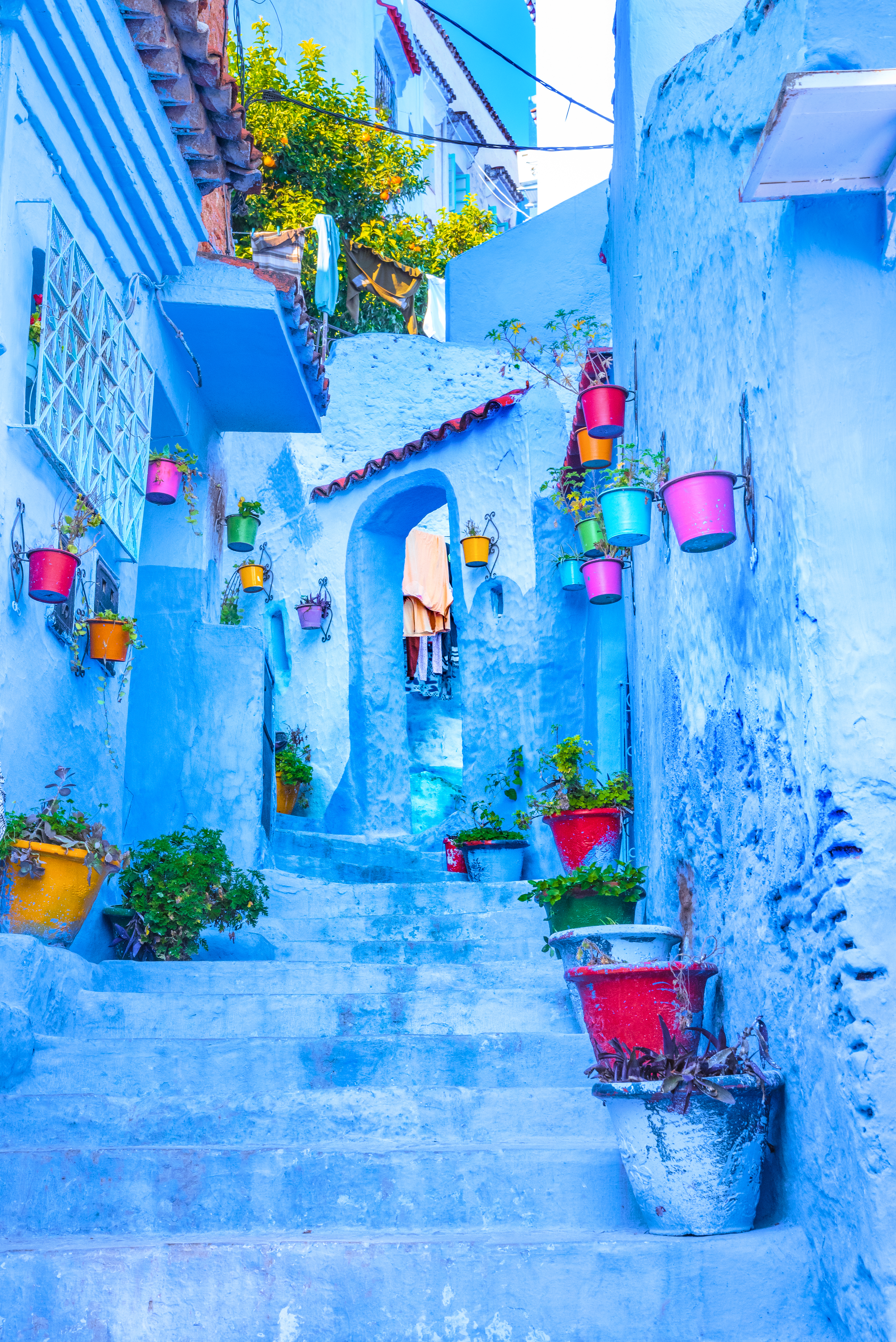 Blå malede traditionelle huse med farverige blomsterkrukker i Chefchaouen medina Marokko
