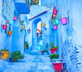 Blå malede traditionelle huse med farverige blomsterkrukker i Chefchaouen medina Marokko