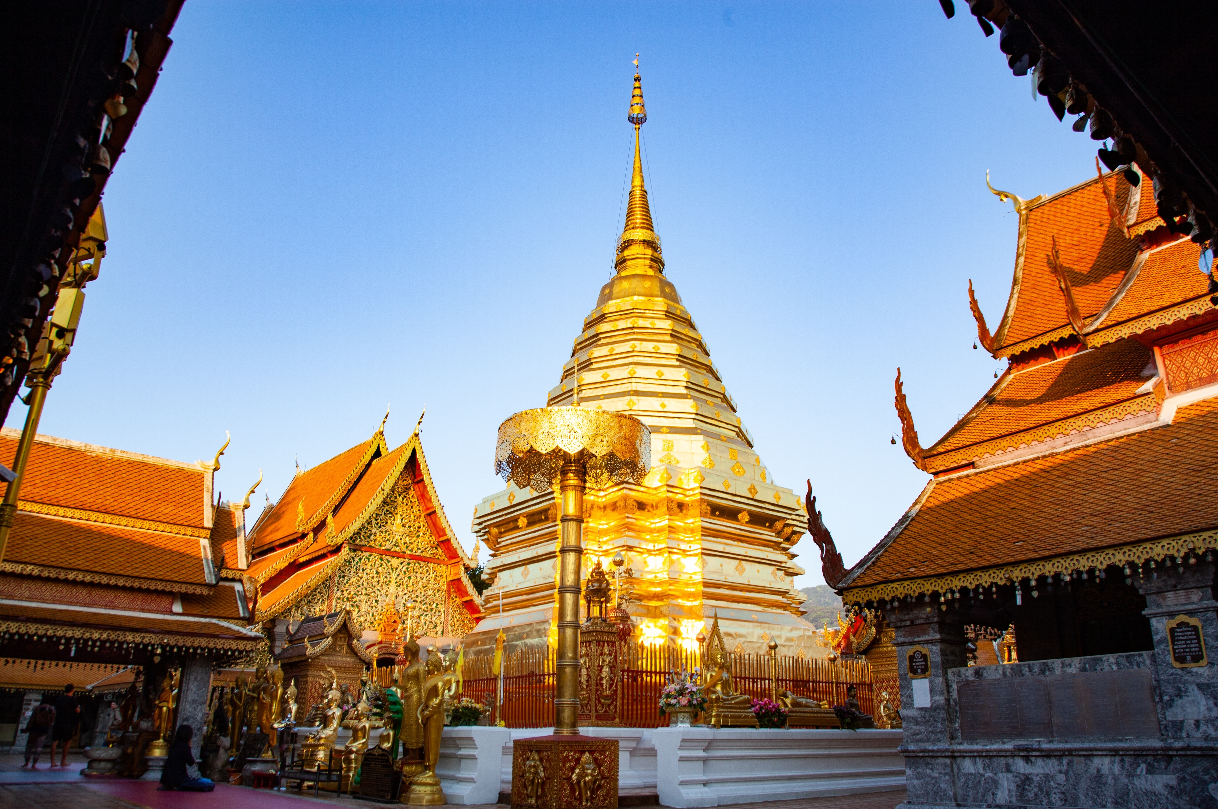 Gyldent Wat Phra That Doi Suthep tempel i Chiang Mai Thailand med traditionel buddhistisk arkitektur