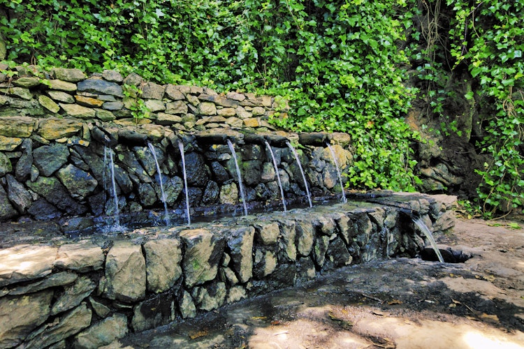 Naturlig stenfontæne ved Chorros de Epina med flere vandudløb omgivet af frodig grøn vegetation på La Gomera, De Kanariske Øer