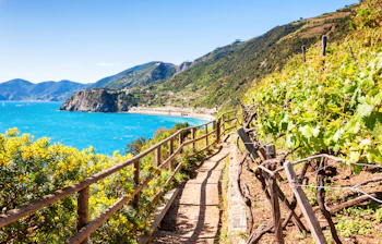 Idyllisk vandresti langs kysten i Cinque Terre, der snor sig mellem frodige vinmarker og det azurblå Middelhav med bjergene i baggrunden - perfekt til vandreferie i Italien