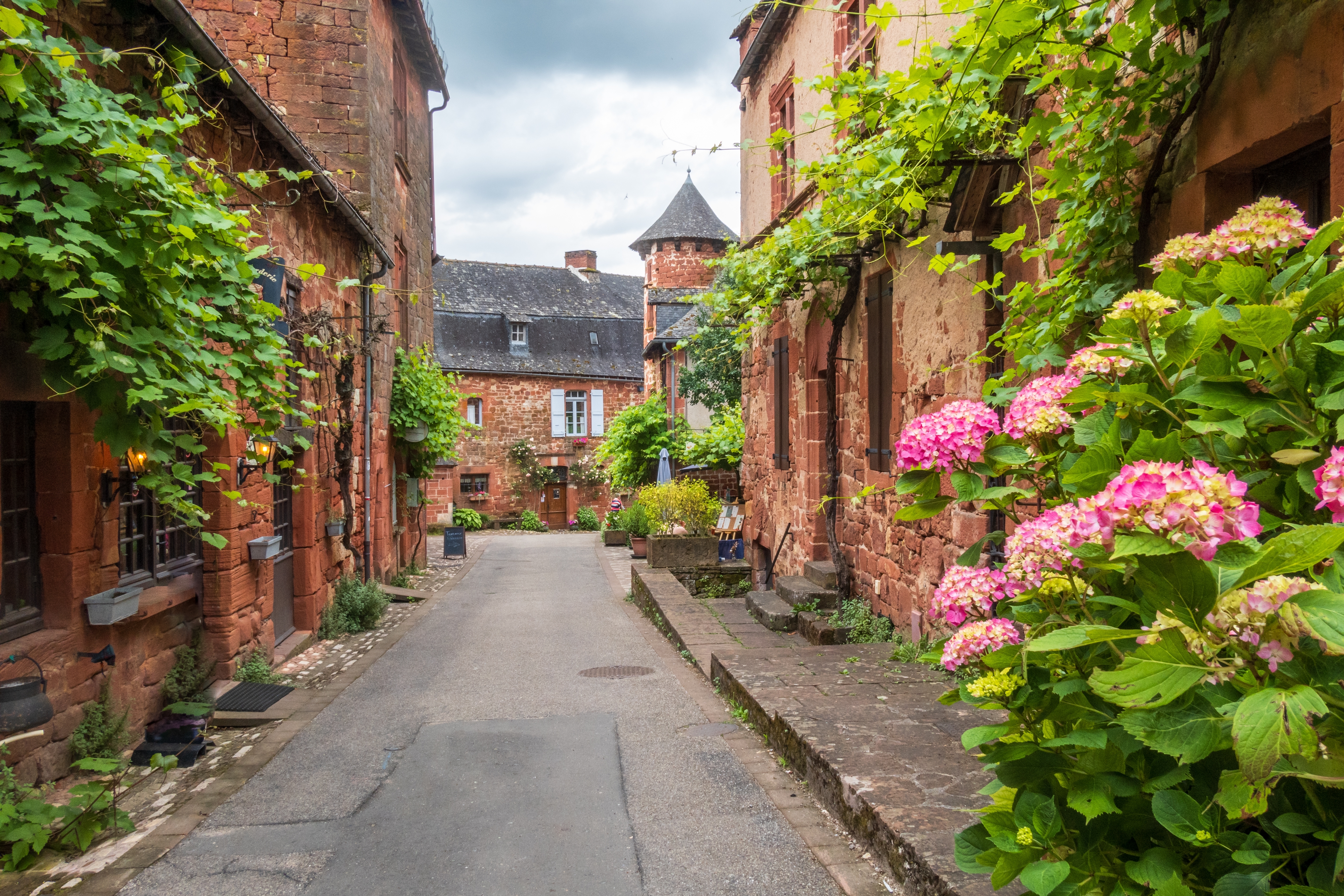 Charmerende middelalderlig gade i Collonges-la-Rouge med røde sandstenshuse dækket af grønne slyngplanter og lyserøde hortensiaer, Corrèze, Frankrig