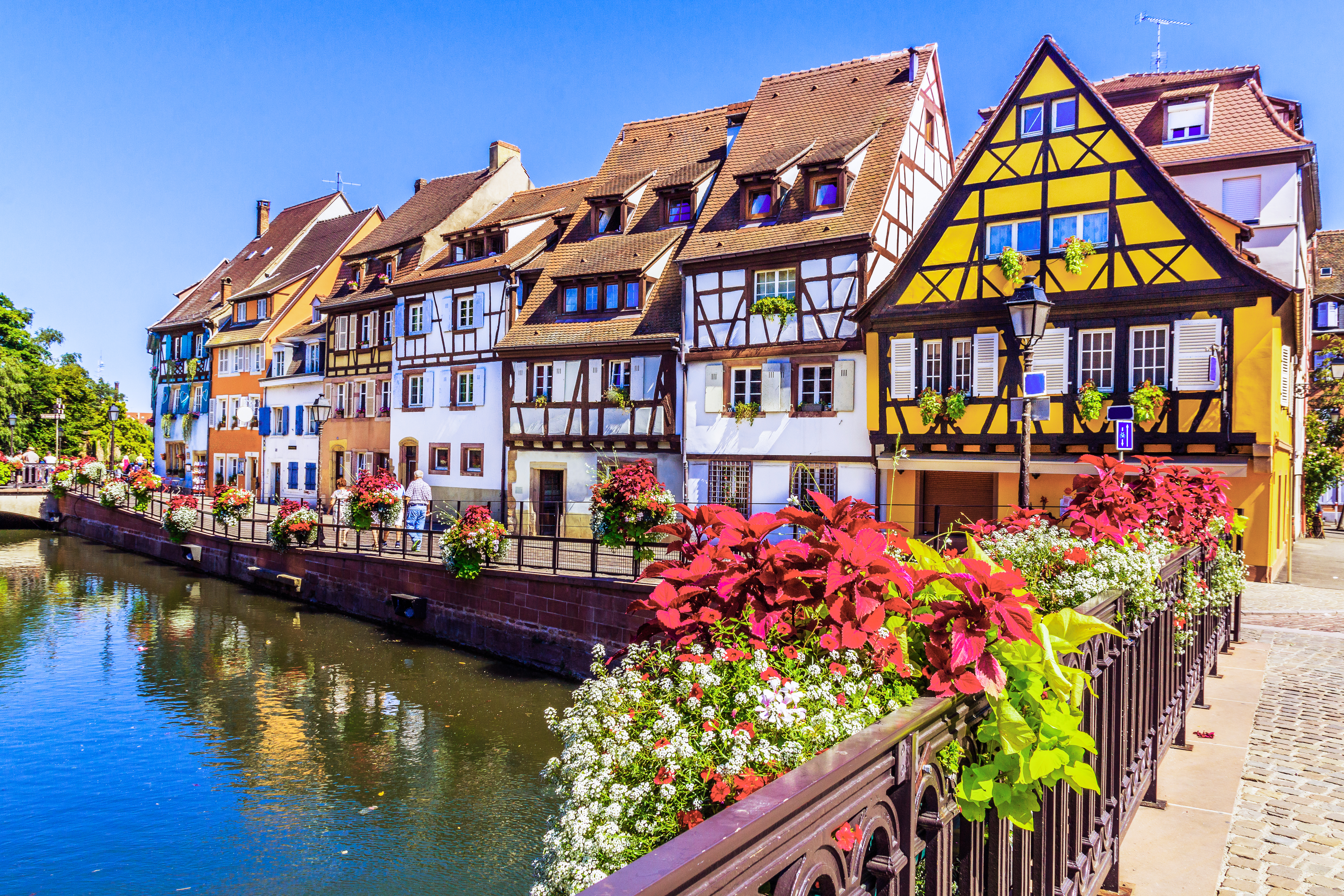 Farverige bindingsværkshuse langs kanal i Colmar Alsace med blomsterkasser