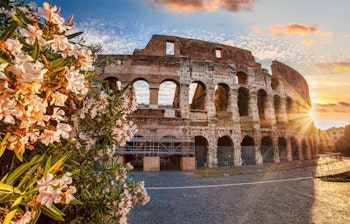 Det historiske Colosseum i Rom med forårsblomster og blå himmel - et ikonisk landmark fra det antikke Italien