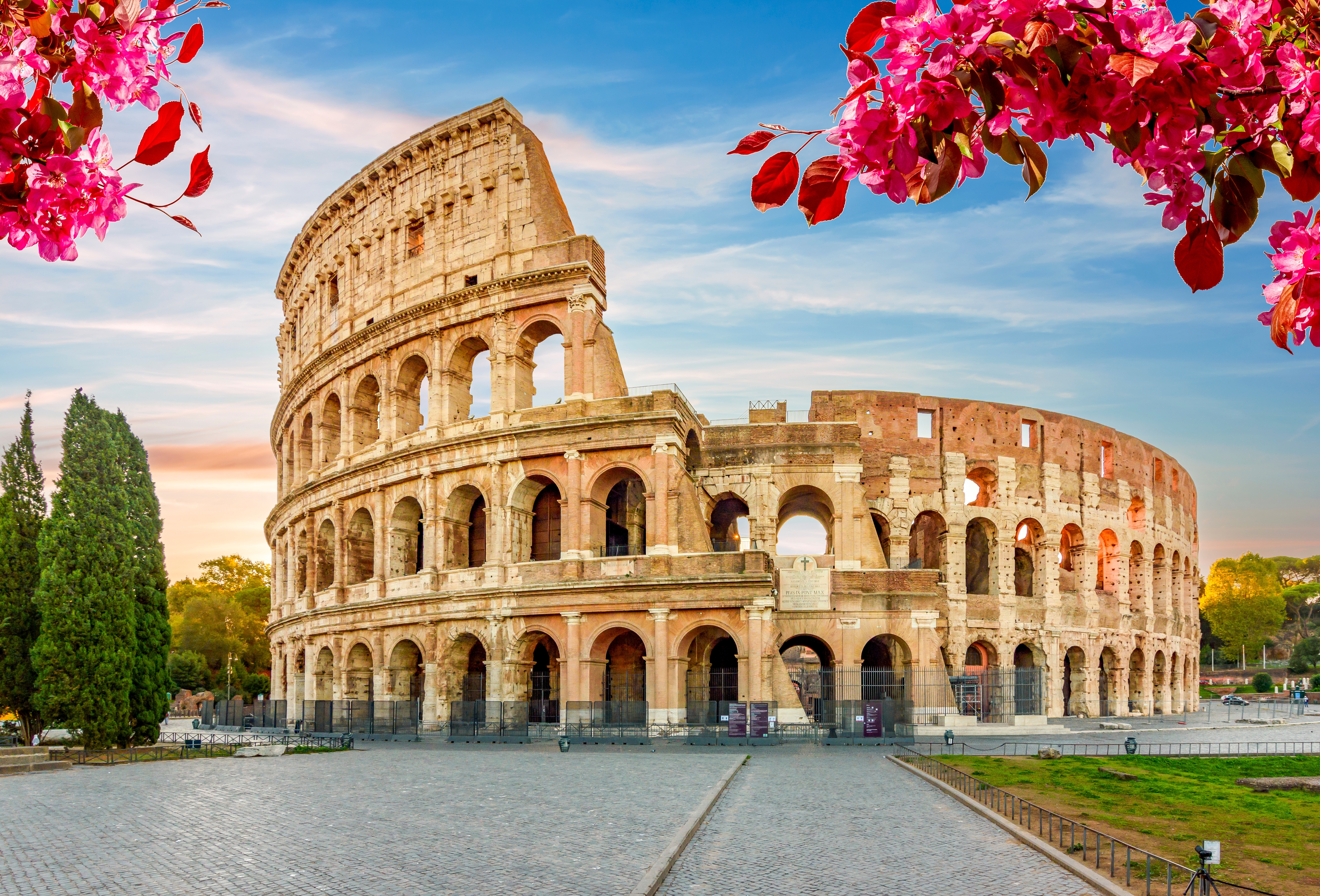 Det historiske Colosseum amfiteater med forårsblomster i forgrunden ved solopgang i Rom, Italien