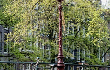 Vintage cykel parkeret ved kanalens bro i Amsterdam med traditionel gadelampe og forårsgrønne træer, typisk hollandsk bysceneri