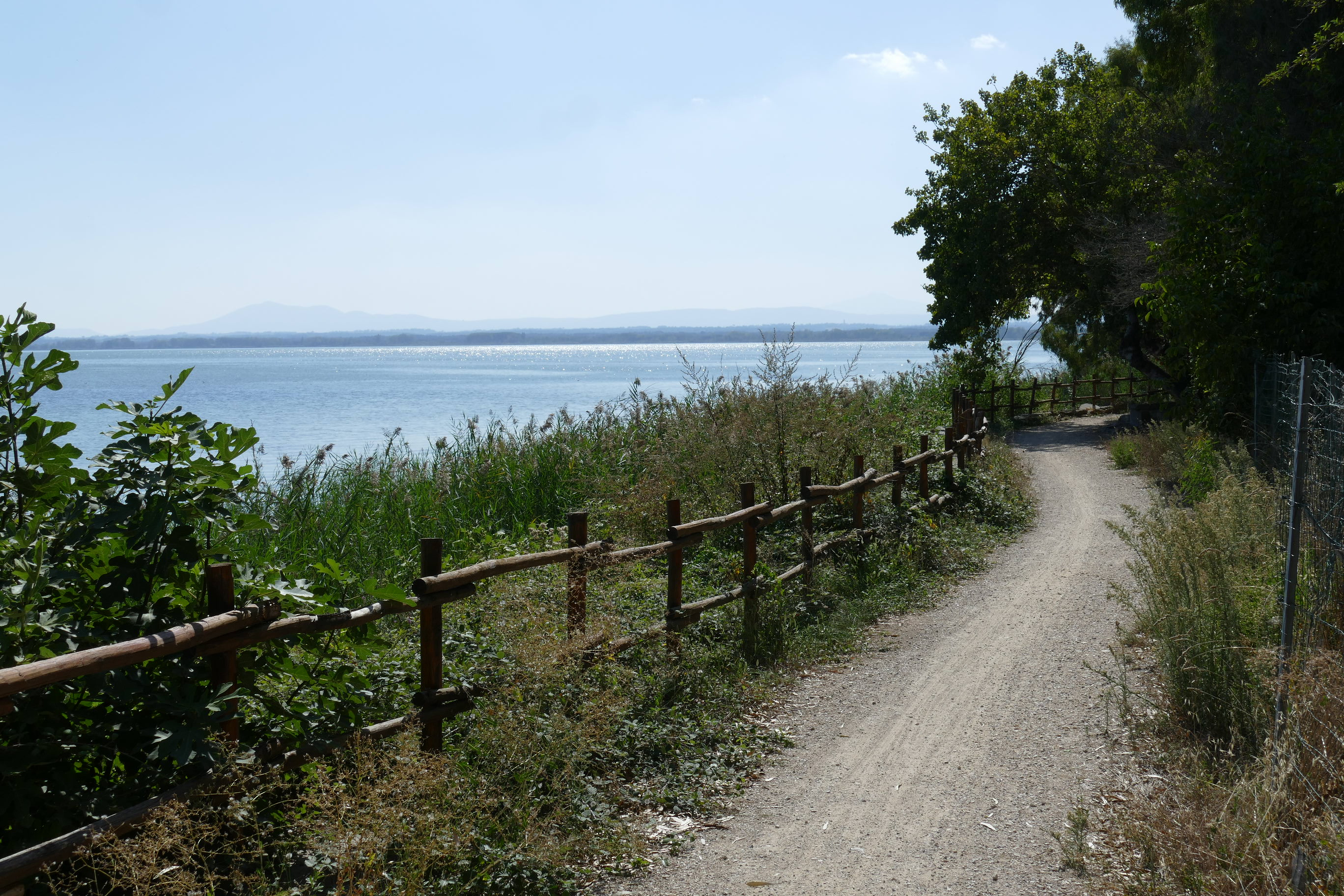 Smuk cykelsti langs Trasimenø-søen i Umbrien, Italien, med træhegn og frodig grøn vegetation ved den rolige blå sø