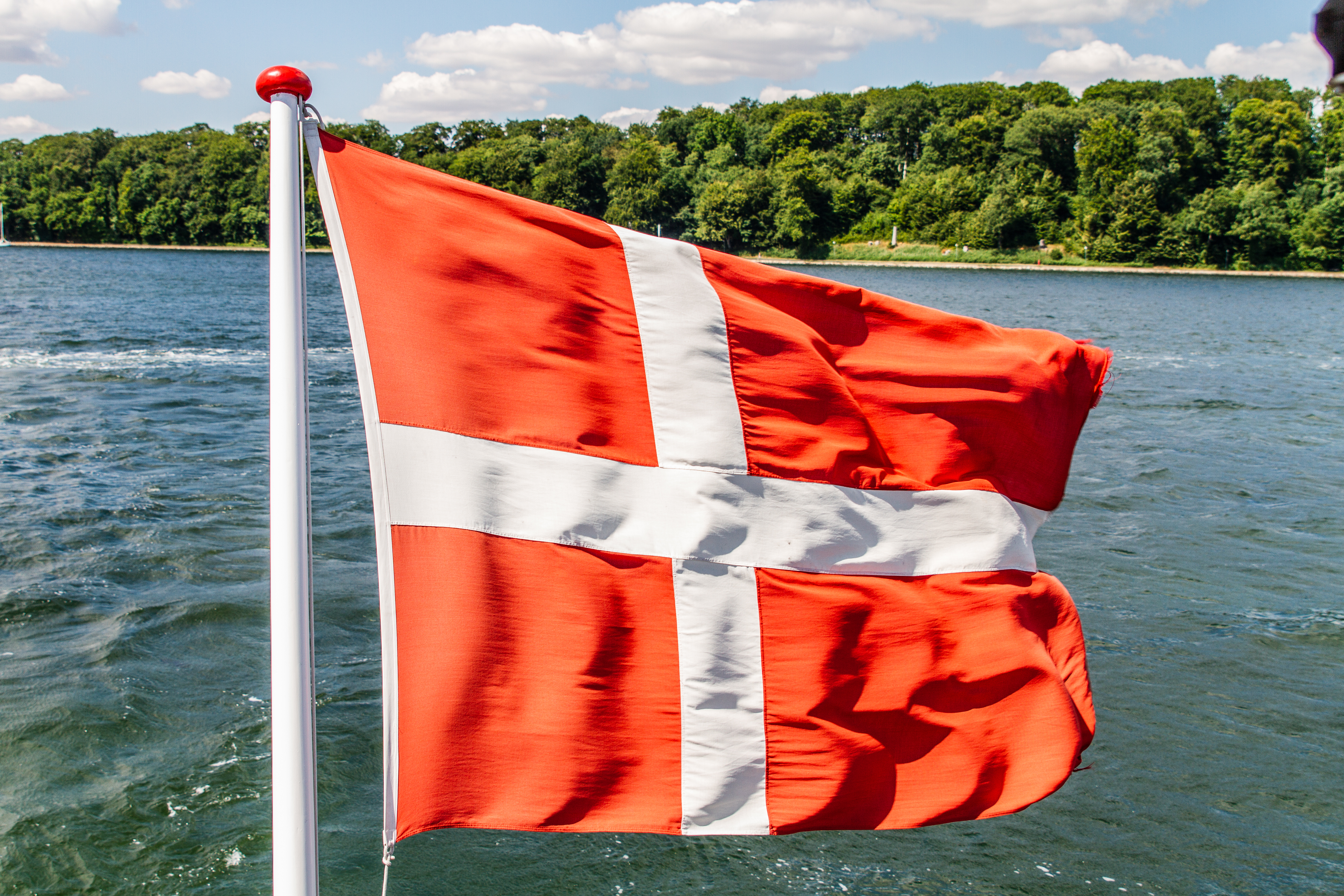 Dannebrog flag vajende på båd med smuk dansk kystlinje og skov i baggrunden