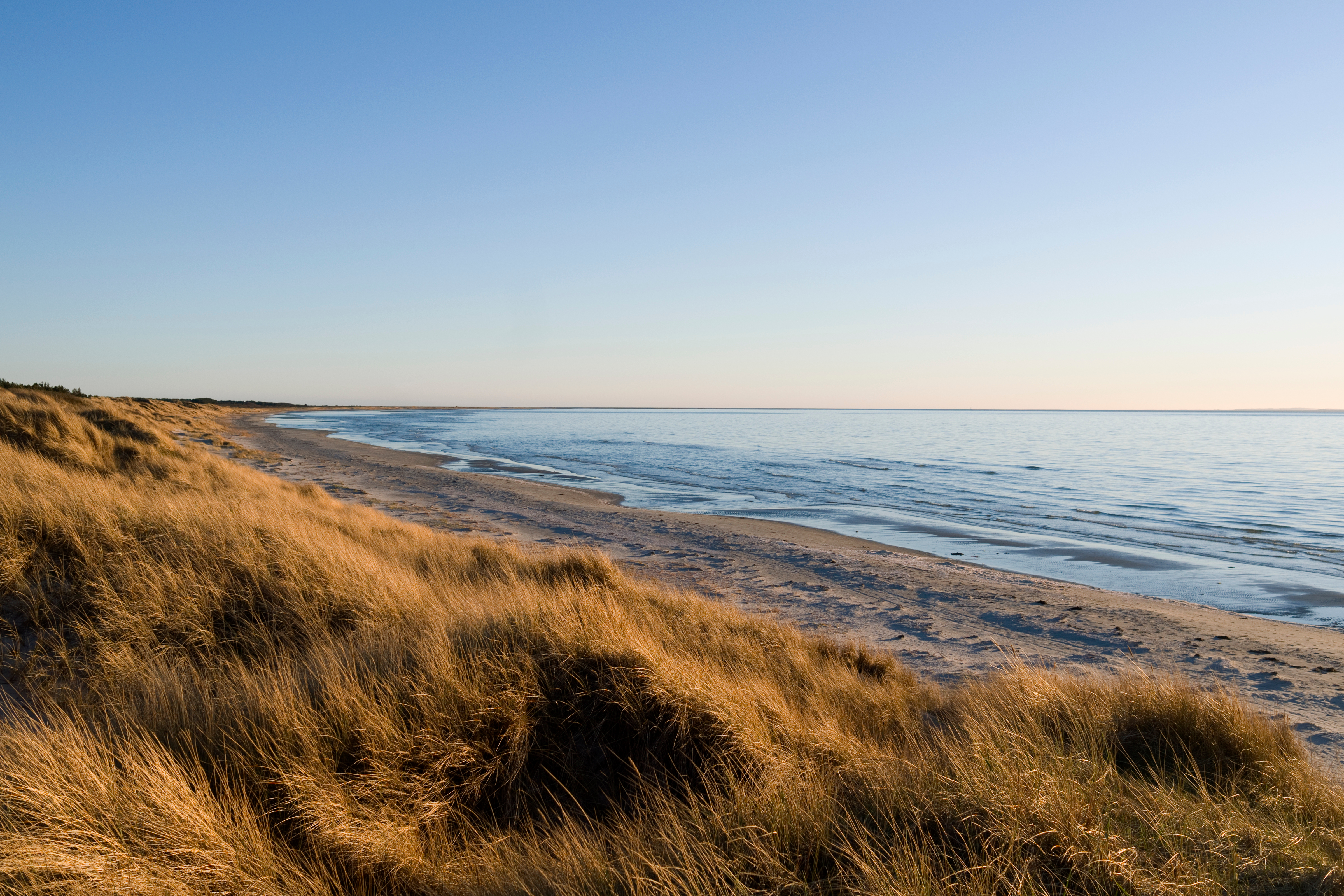 Smukke klitter og sandstrand ved den danske vestkyst i Nordjylland