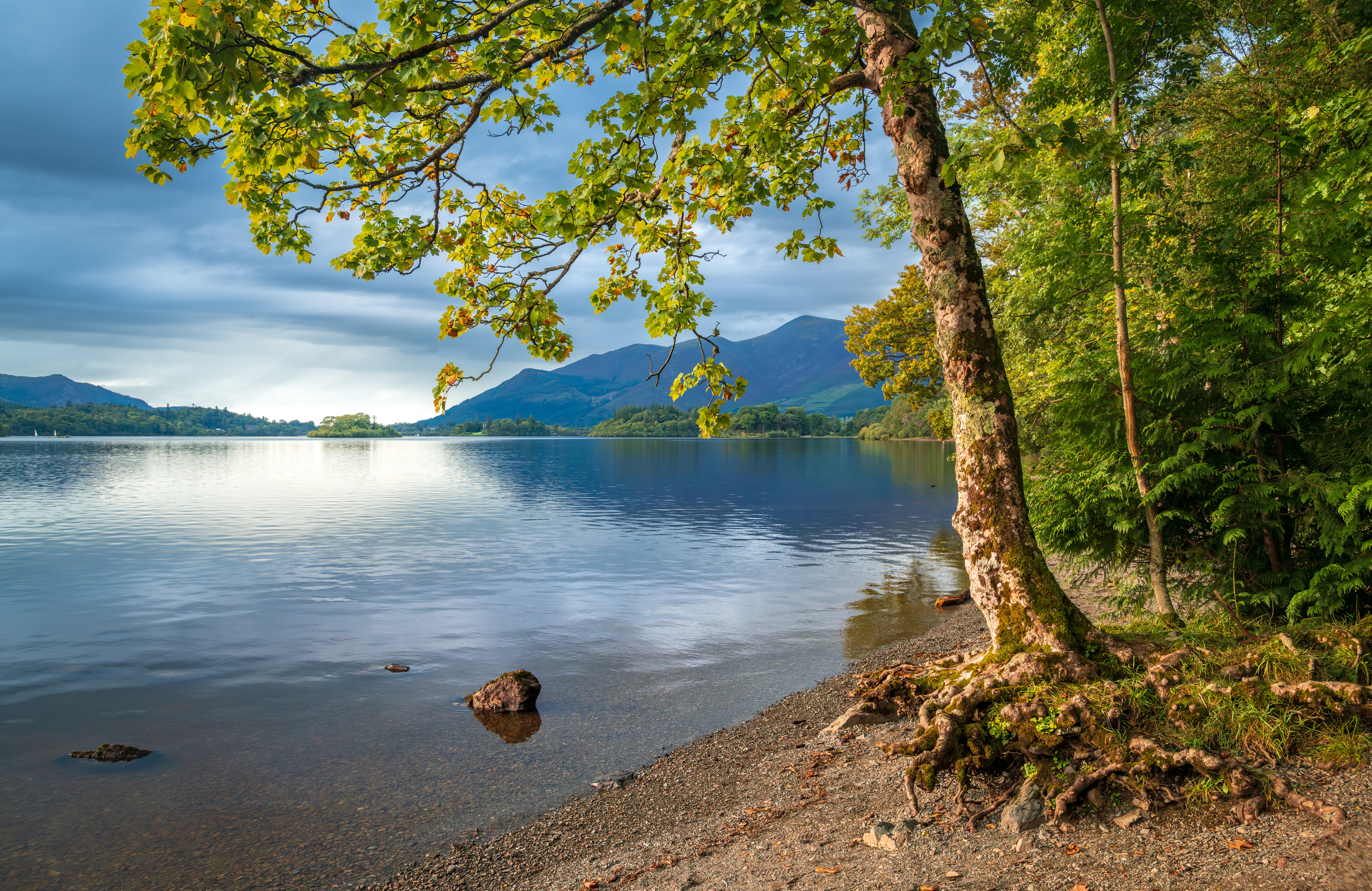 Smuk efterårssø med gylden løvfald og bjergspejling i Lake District England