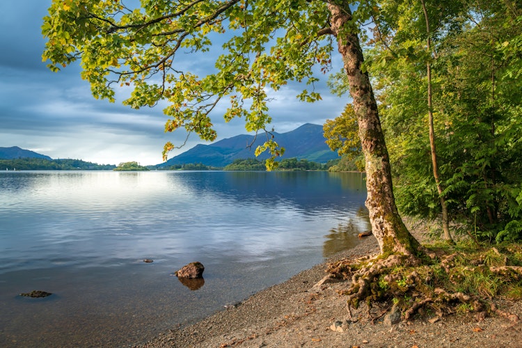 Smuk efterårssø med gylden løvfald og bjergspejling i Lake District England