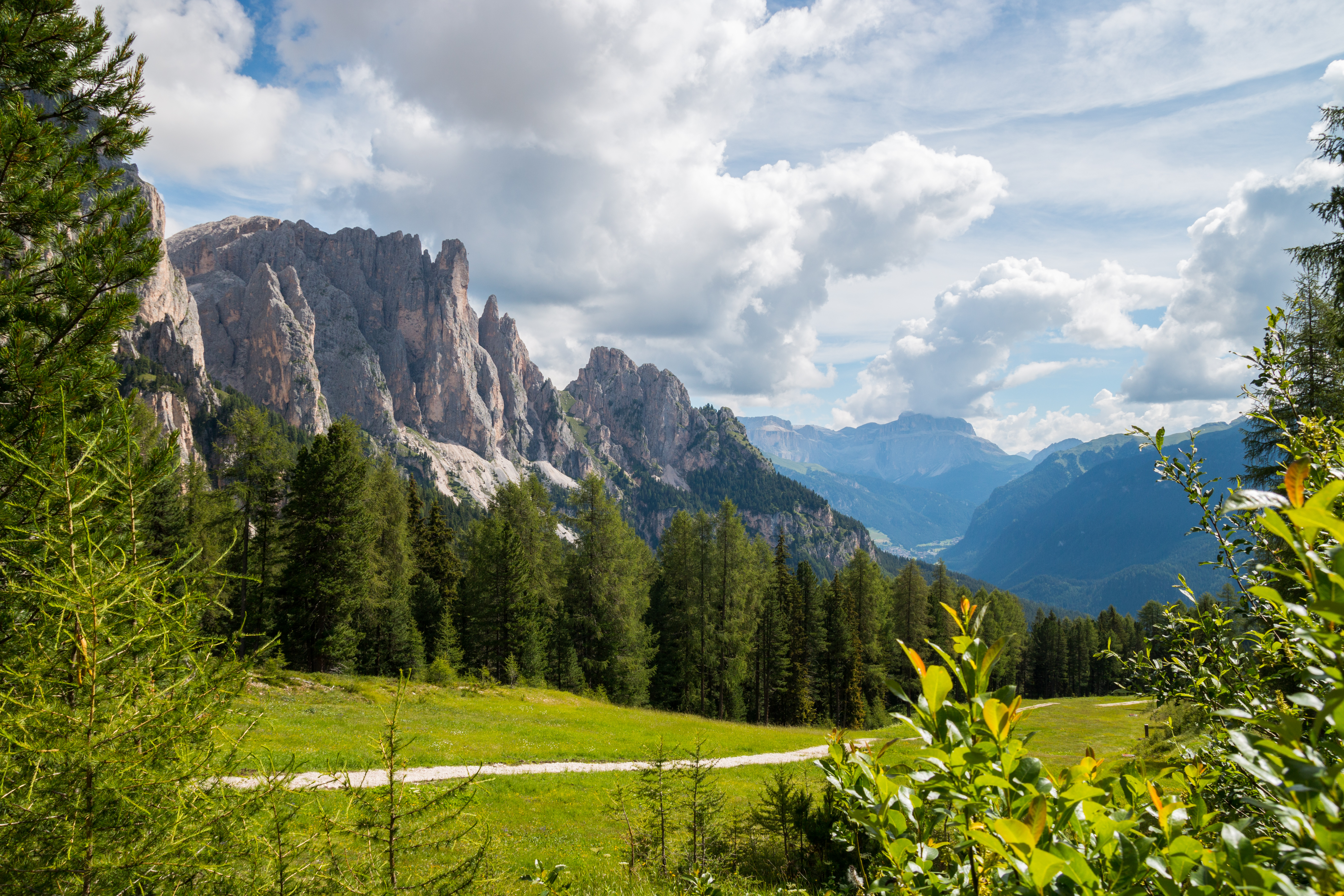 Panoramaudsigt over Dolomitterne ved Alpe Ciampedie med dramatiske klippetoppe, grønne enge og nåleskove i Val di Fassa, Trentino, Italien
