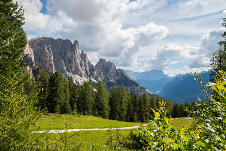Panoramaudsigt over Dolomitterne ved Alpe Ciampedie med dramatiske klippetoppe, grønne enge og nåleskove i Val di Fassa, Trentino, Italien