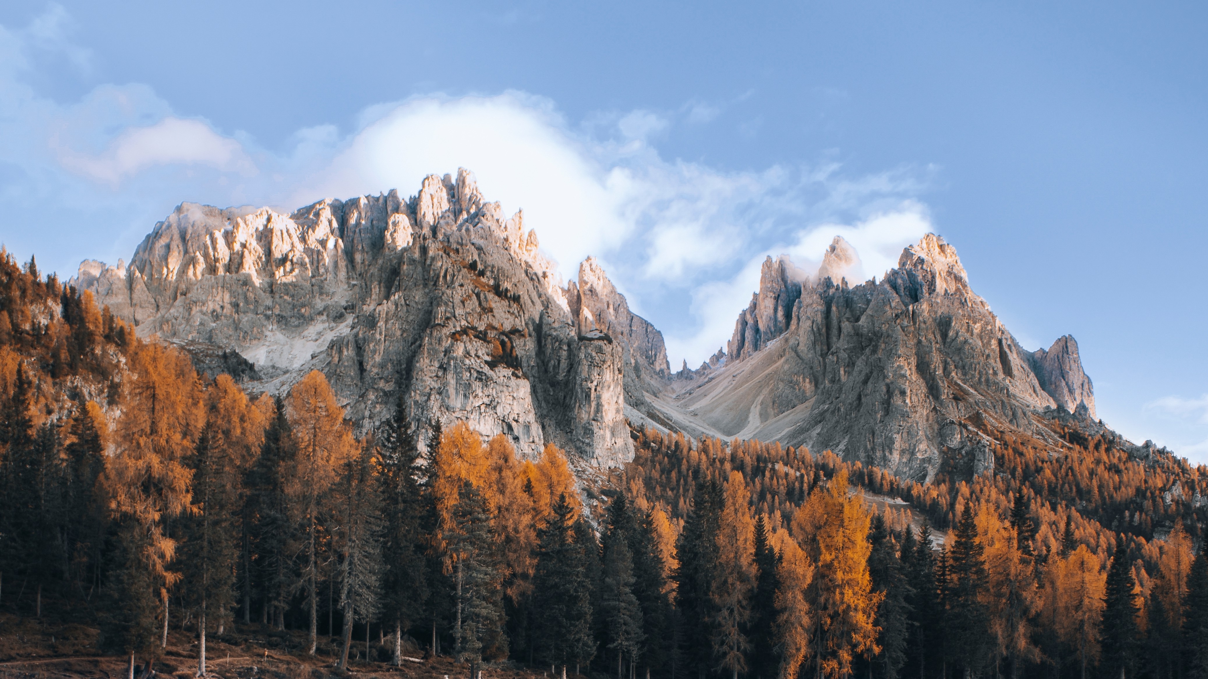 Panoramaudsigt over Dolomitterne om efteråret med gyldne nåletræer og dramatiske klippetinder under en blå himmel i Italien