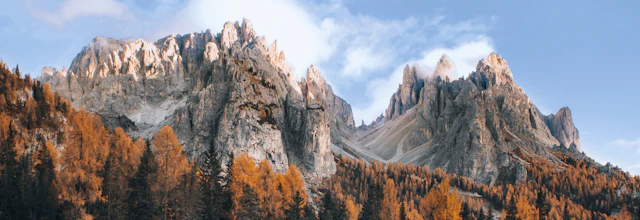 Panoramaudsigt over Dolomitterne om efteråret med gyldne nåletræer og dramatiske klippetinder under en blå himmel i Italien