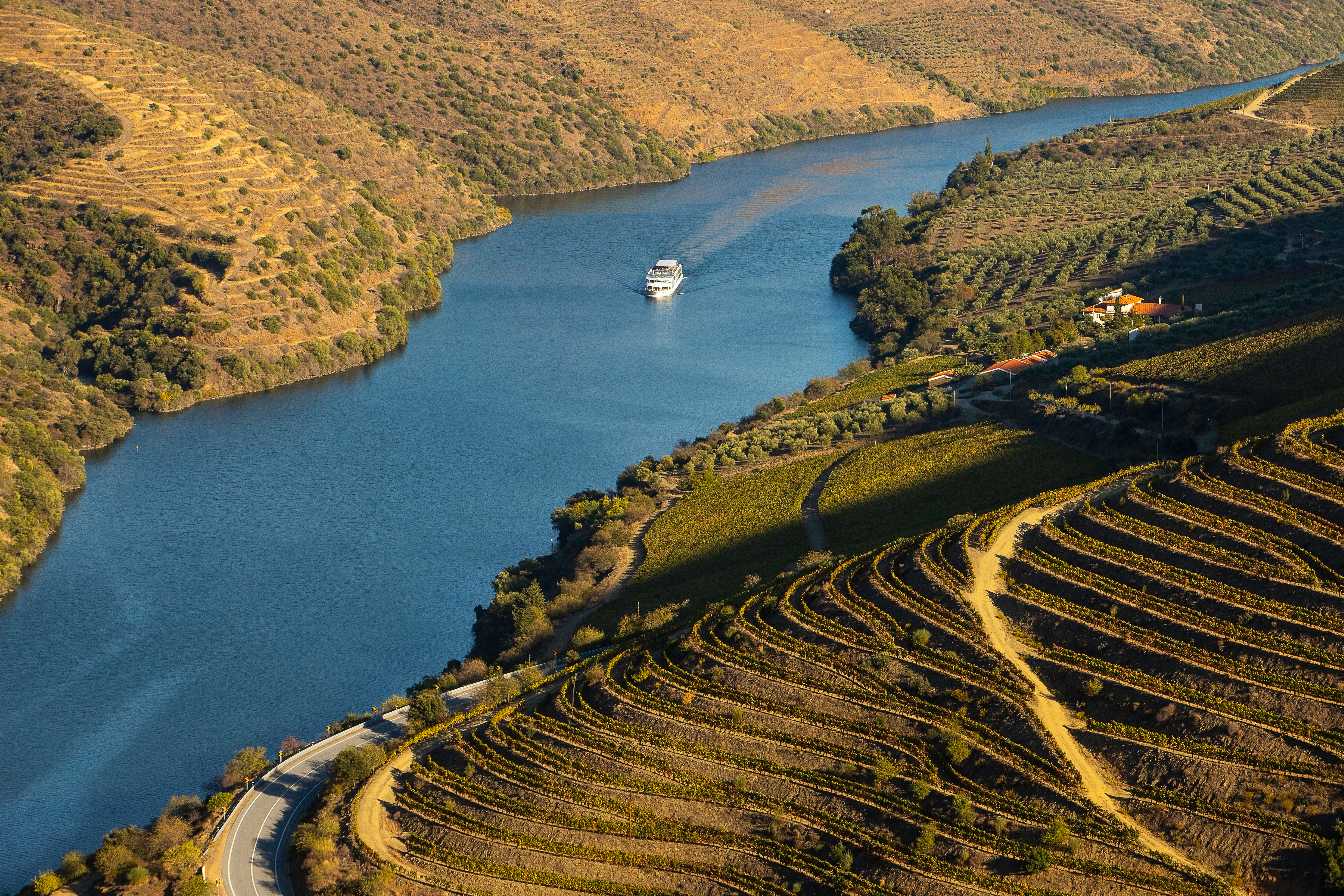 Flodkrydstogt gennem Douro-dalens terrasserede vingårde i Portugal med gyldne efterårsfarver