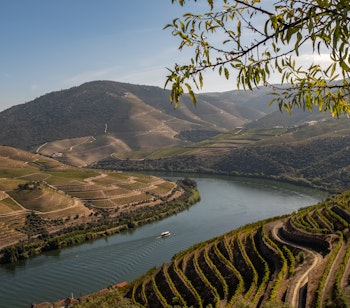 Smuk udsigt over Douro-floden der snor sig gennem Portugals berømte vindal med terrasserede vinmarker på de grønne skråninger