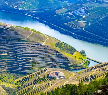 Betagende udsigt over terrasserede vinmarker i Douro-dalen i Portugal med den snoede flod og grønne bakker