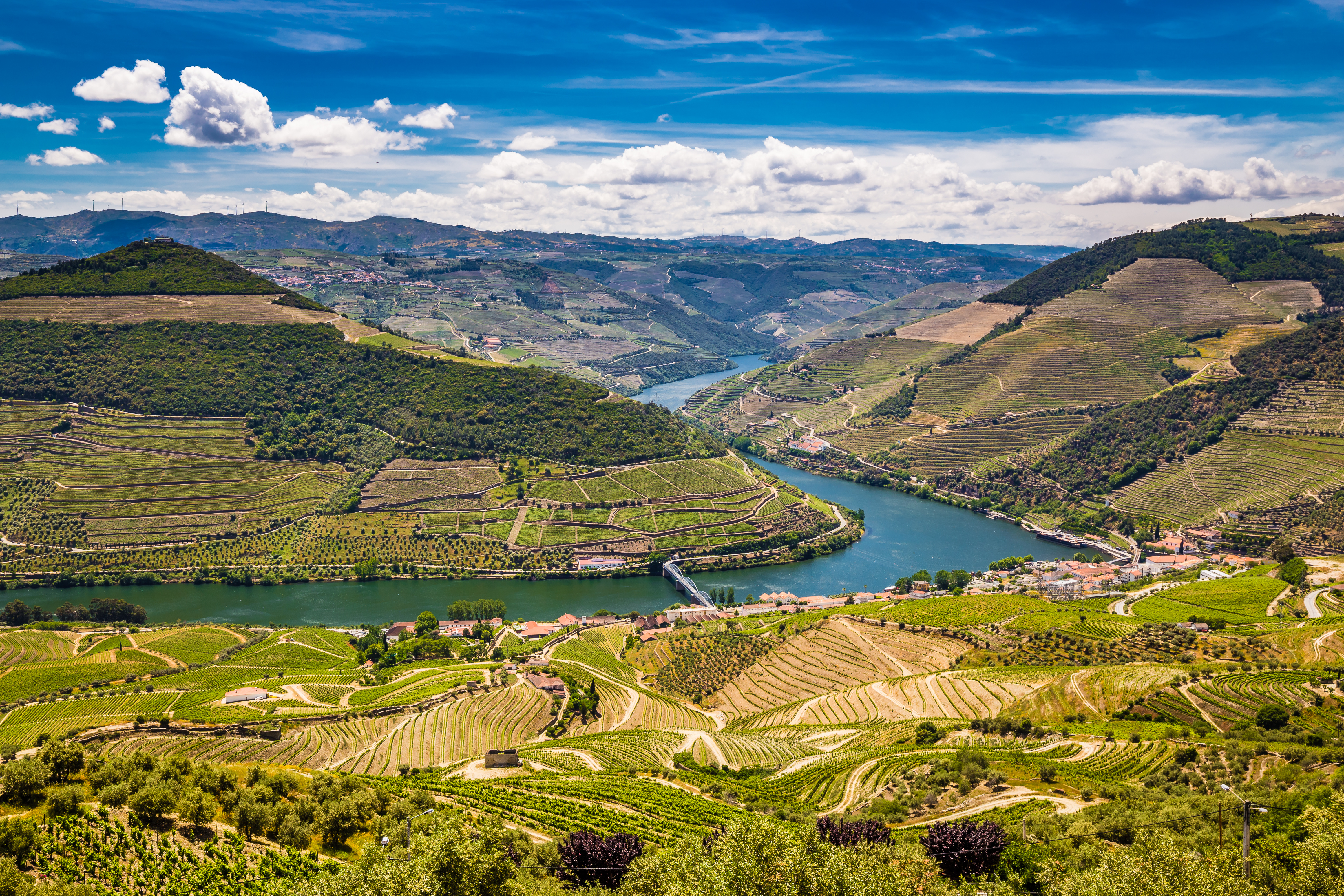 Panoramaudsigt over Douro-dalen i Portugal med terrasserede vingårde langs den snoede Douro-flod under en blå himmel