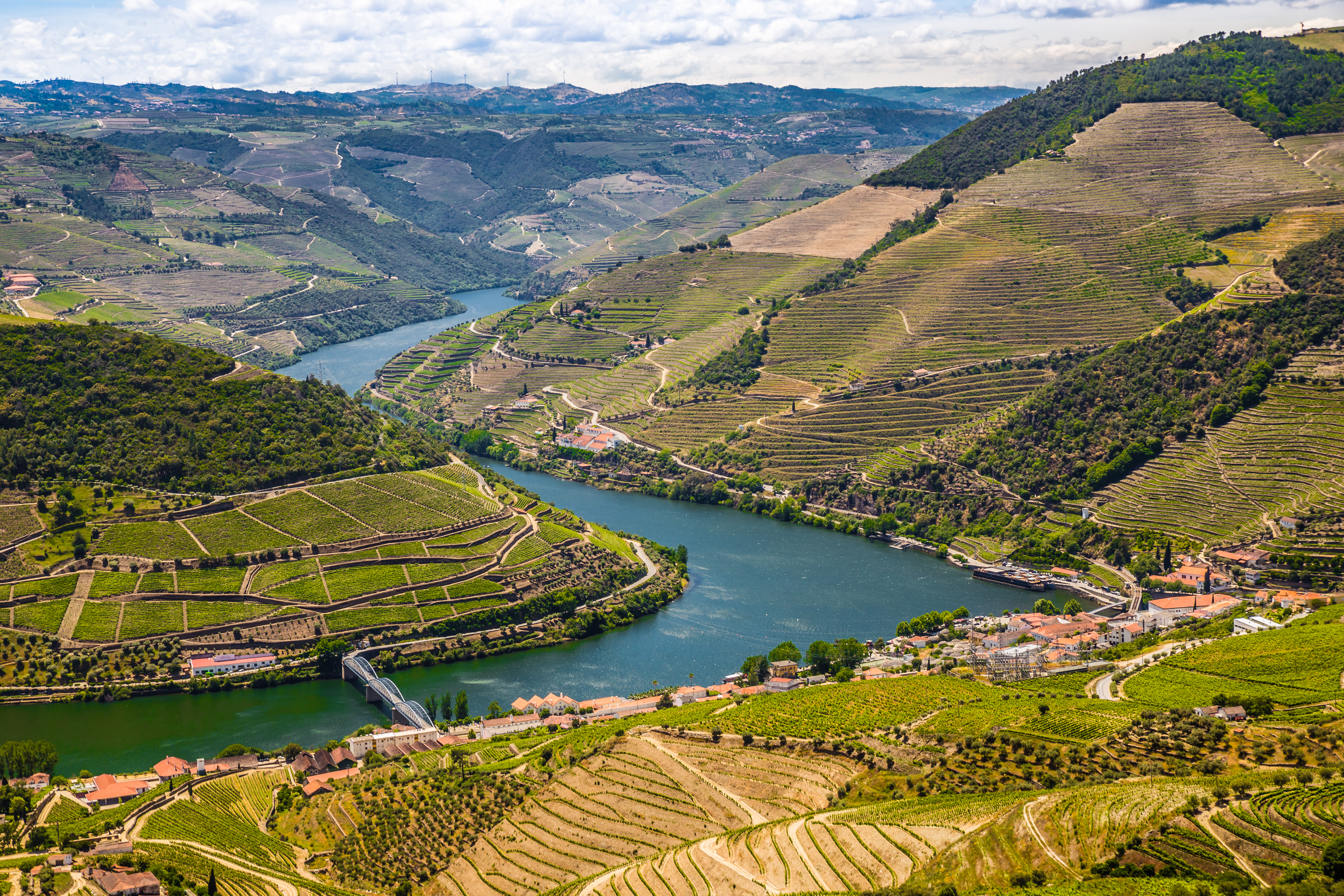 Betagende udsigt over terrasserede vinmarker i Douro-dalen fra Loivos udsigtspunkt i Portugal - UNESCO verdensarvsområde med slyngende flod