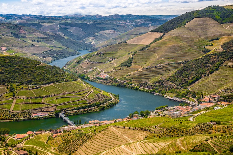 Betagende udsigt over terrasserede vinmarker i Douro-dalen fra Loivos udsigtspunkt i Portugal - UNESCO verdensarvsområde med slyngende flod