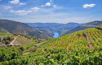 Maleriske vinmarker i Douro-dalen nær Pinhao i Portugal - berømt portvinområde med terrasserede bakker set fra Casal de Loivos