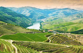 Smukke terrasserede vinmarker i Douro-dalen, Portugal, med grønne vinstokke på bjergskråninger hvor der produceres portvin