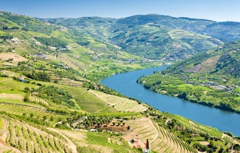 Maleriske vinmarker i terrasser i Douro-dalen, Portugal med grønne bakker og traditionel vindyrkning ved floden