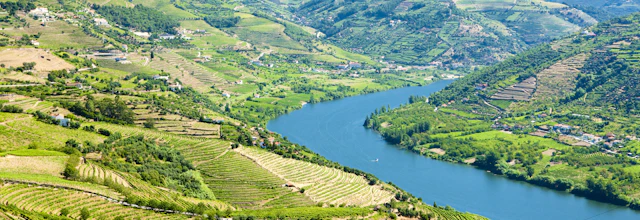 Maleriske vinmarker i terrasser i Douro-dalen, Portugal med grønne bakker og traditionel vindyrkning ved floden