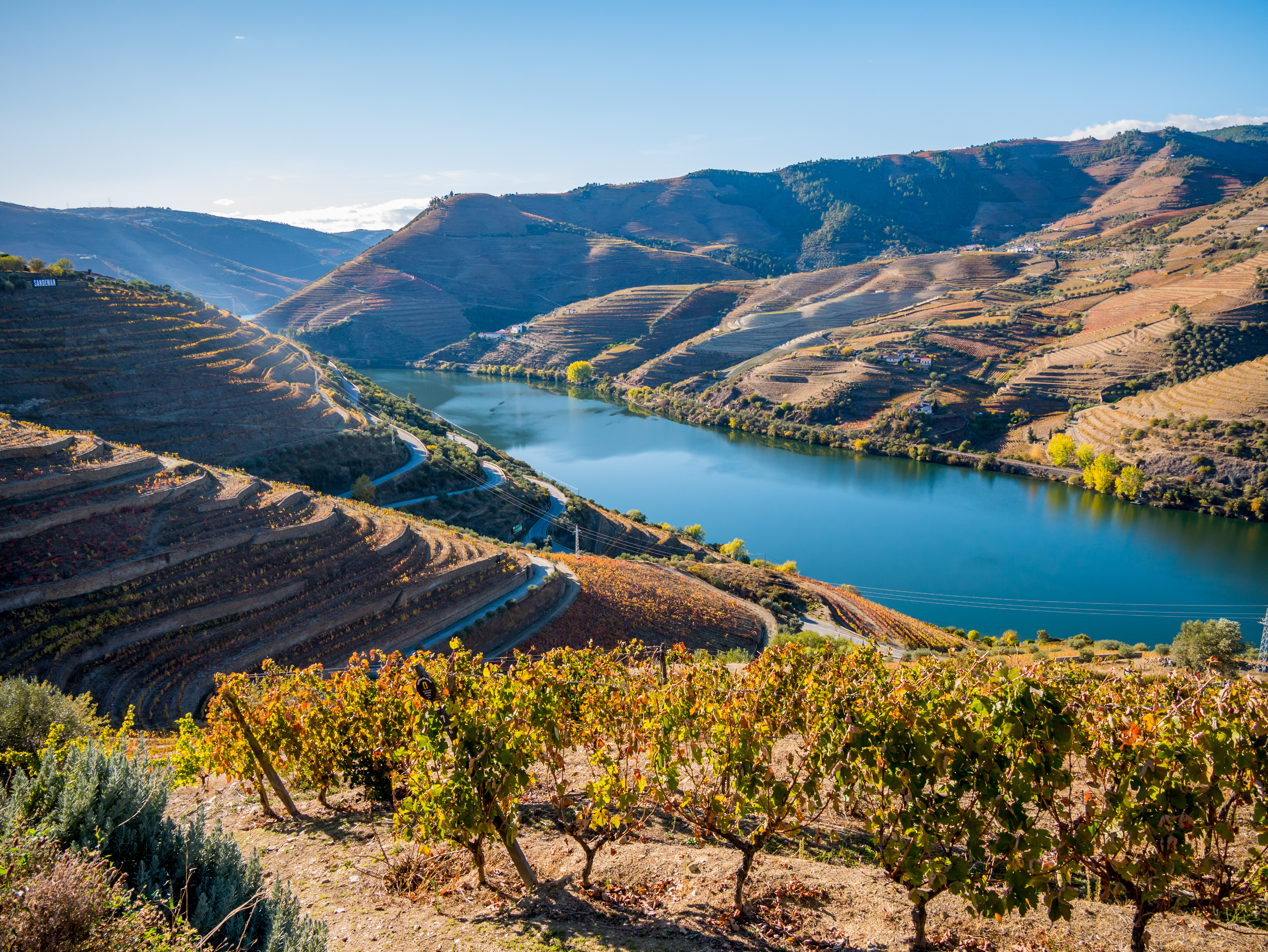 Smuk udsigt over Douro-dalen med vinmarker og flod i Portugal om efteråret