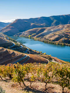 Smuk udsigt over Douro-dalen med vinmarker og flod i Portugal om efteråret