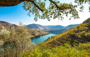 Smukke terrasserede vinmarker i Douro-dalen med floden der slynger sig gennem det UNESCO-beskyttede landskab i Nordportugal