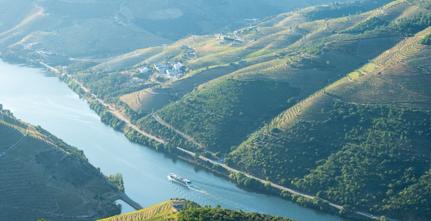 Malerisk udsigt over Douro-dalen med en båd på floden omgivet af grønne vinmarker og bjerge i Nordportugal på en solrig morgen