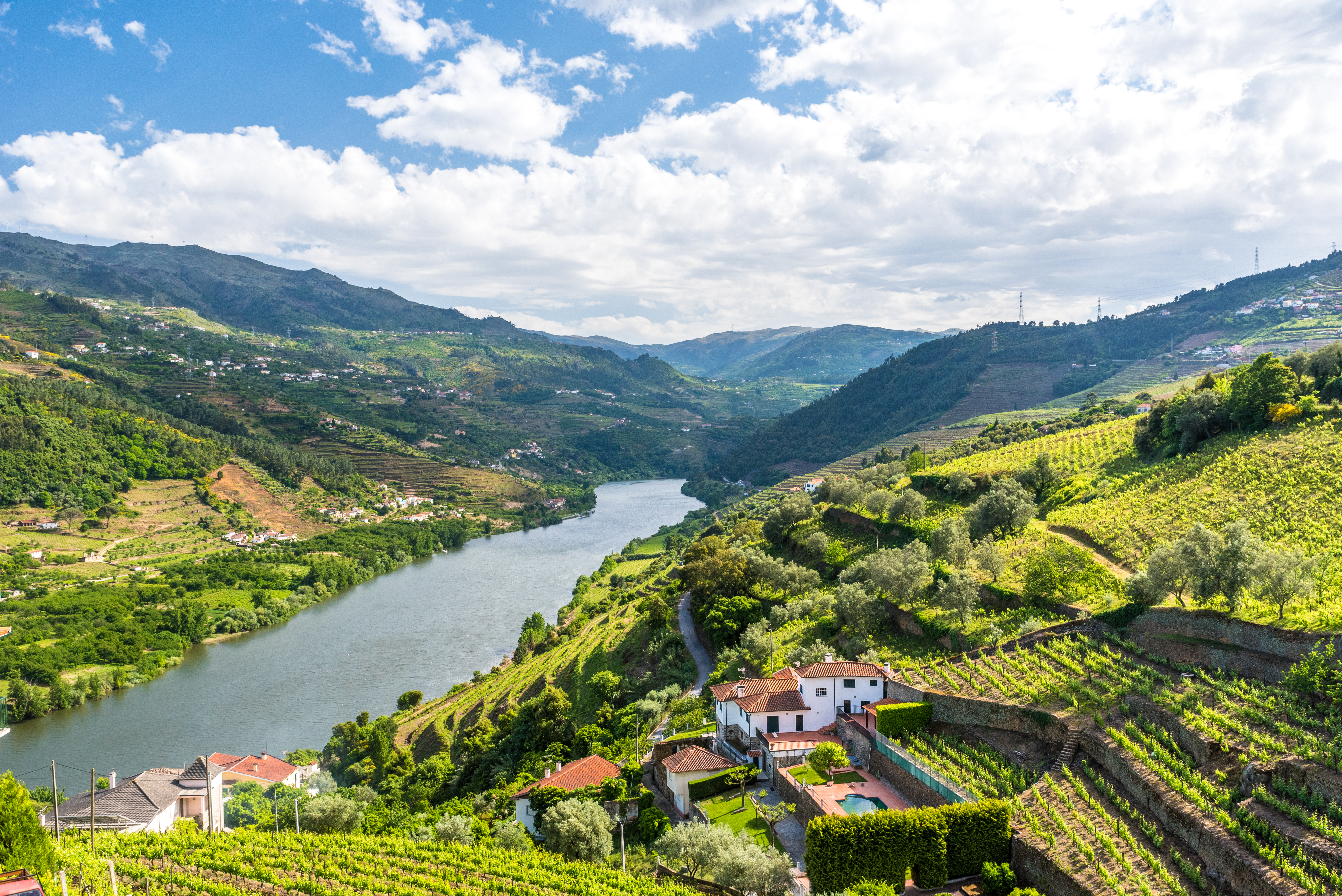 Terrasserede vinmarker langs Douro-floden i Portugal, UNESCO verdensarv og hjemsted for portvinproduktion