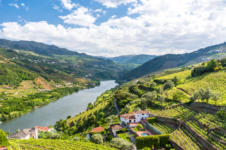 Terrasserede vinmarker langs Douro-floden i Portugal, UNESCO verdensarv og hjemsted for portvinproduktion